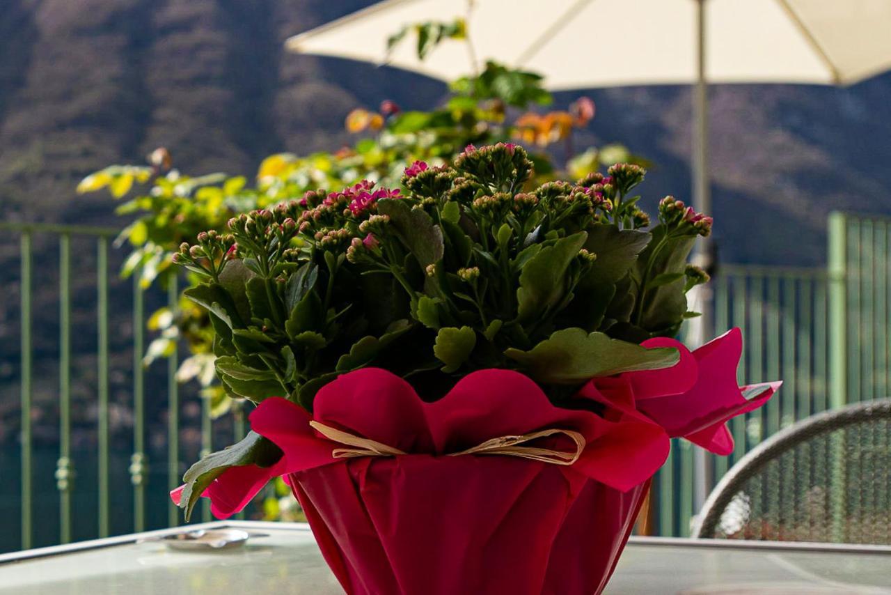 Romantic Home - Lake Como Nesso Eksteriør billede